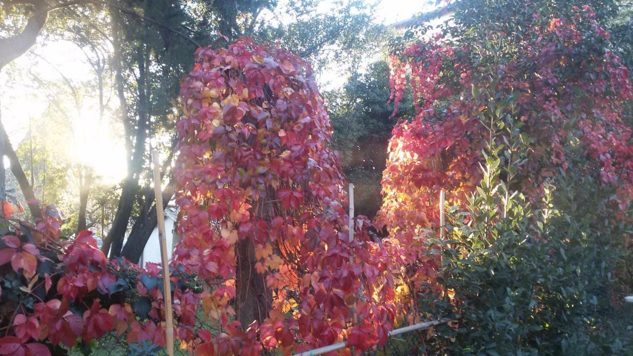 Poggio Nativo B&B In Sabina מראה חיצוני תמונה