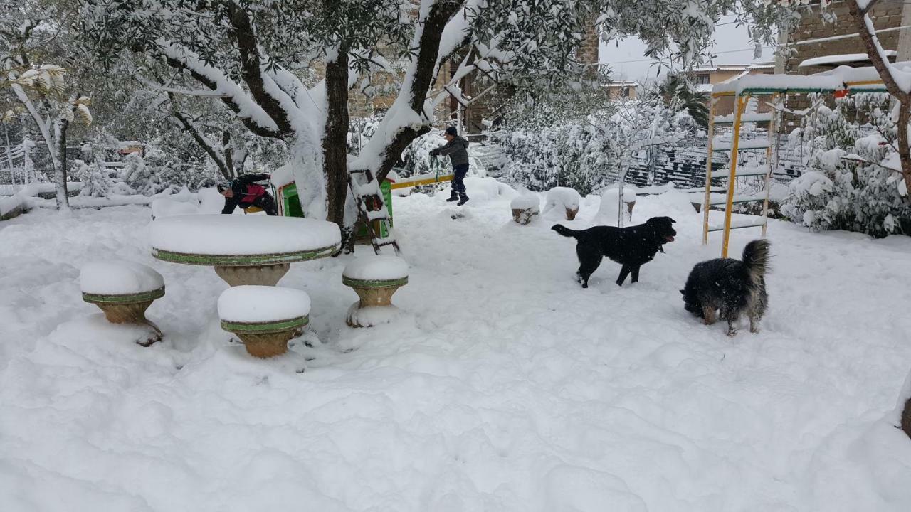 Poggio Nativo B&B In Sabina מראה חיצוני תמונה